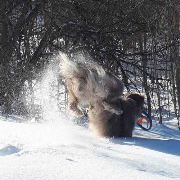 Meet your Posher, Andrea - Picture 1 of 1